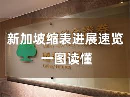 新加坡缩表进展速览 一图读懂